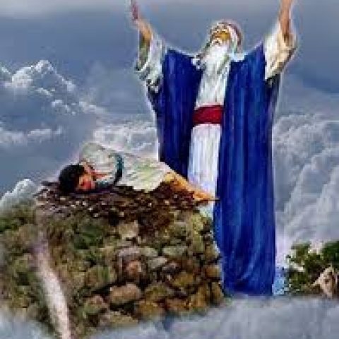 images (9)